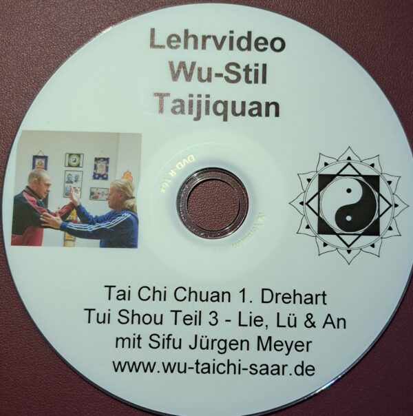 Wu-Stil Taijiquan Partnertraining - mit Sifu Jürgen Meyer - Tui Shou Teil 3