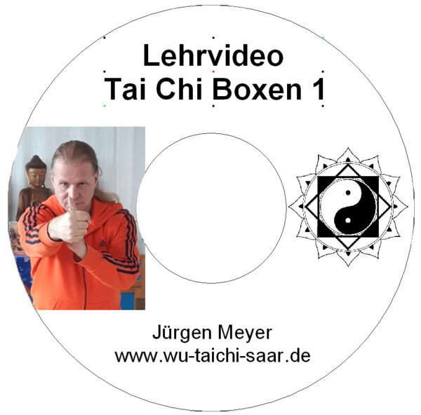 Tai Chi Boxen 01 - mit Sifu Jürgen Meyer