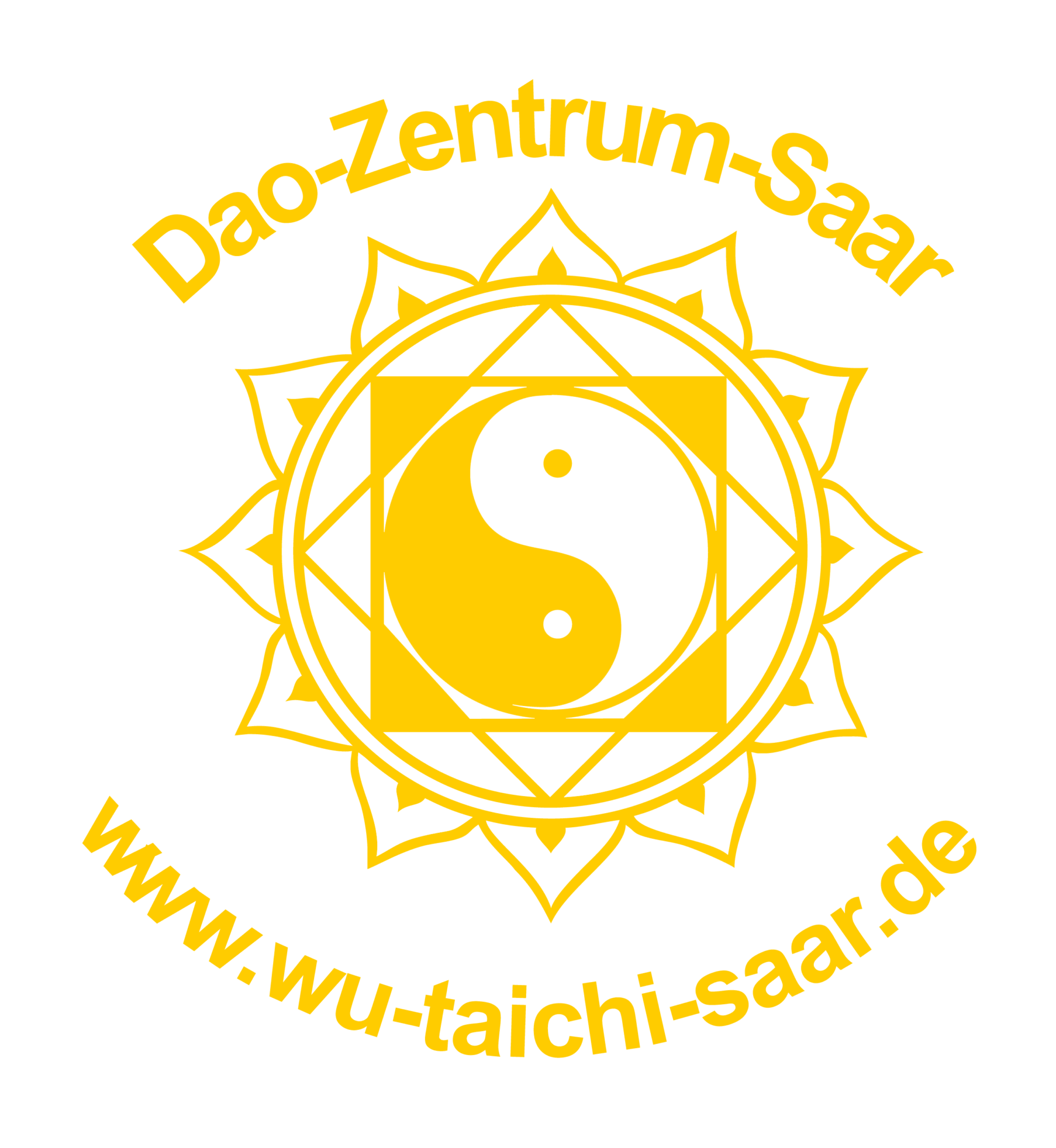 Wu Taiji Saar